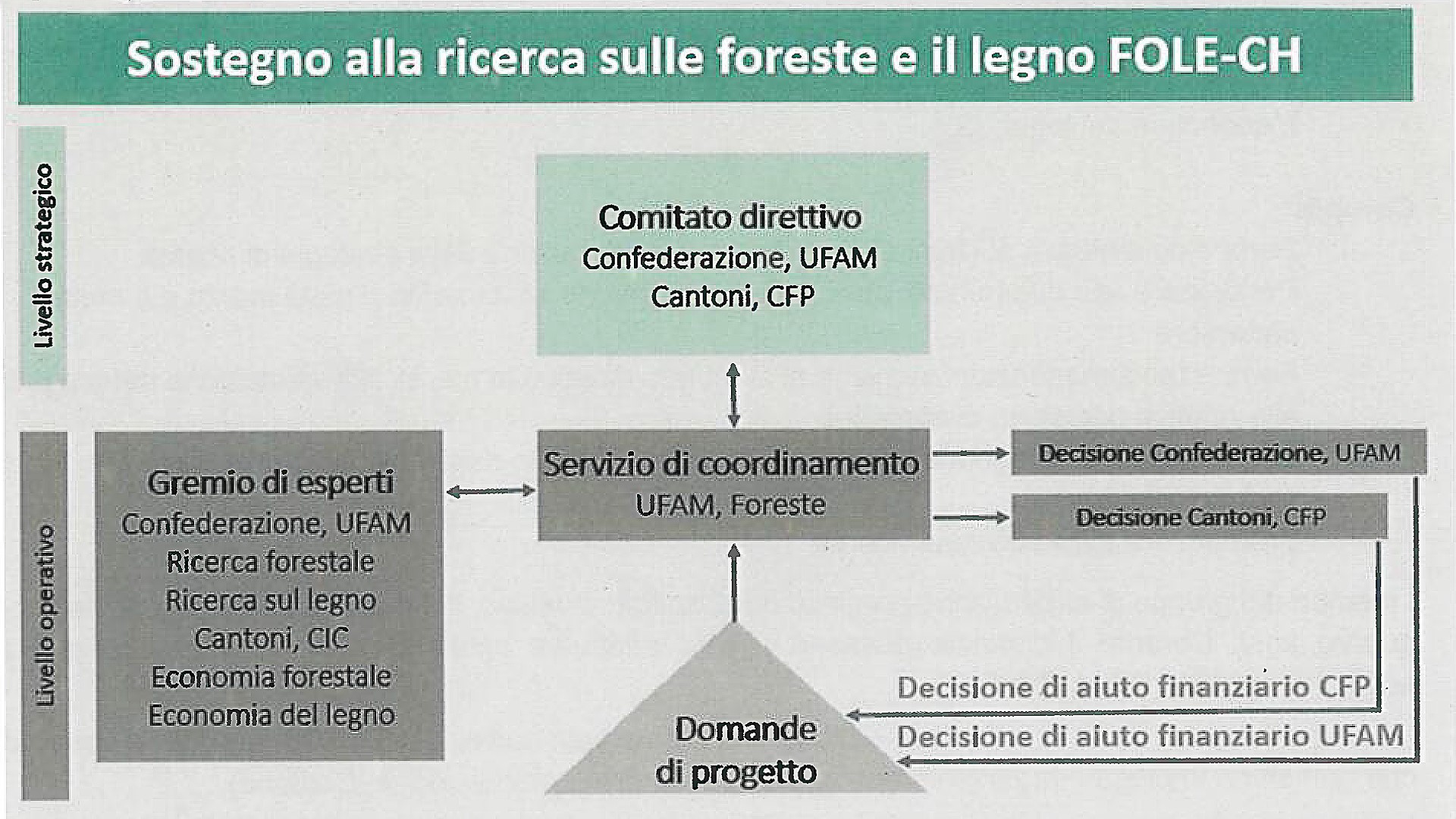 Sostegno alla ricerca sulle foreste e il legno in Svizzera (FOLE-CH)